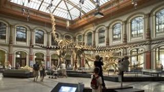 Sobha Aquamont Amenities - Museums